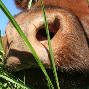 Meet your Posher, Cyndi